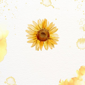 Wallace Brown - Marriage