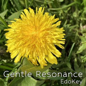 EdoKey - Gentle Resonance
