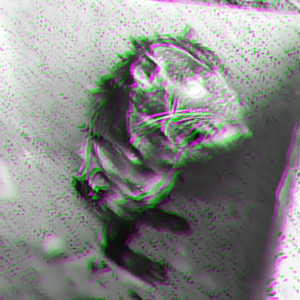 NekoTenshi - Homemade Soup