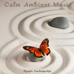 Kyrylo Zaplotynskyi — Calm Ambient Music