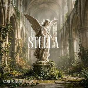 Stella by Osan, SCHAARUP