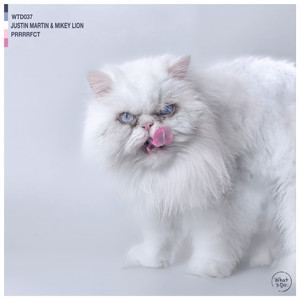 Desert Hearts — Prrrrfct (2026)