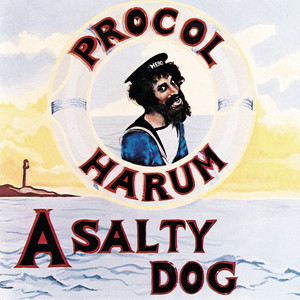 A Salty Dog cover