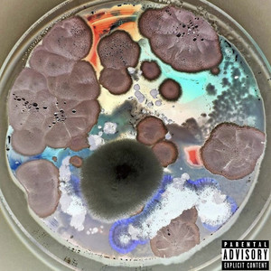 Nyne May - Can You Be the One Topanga?