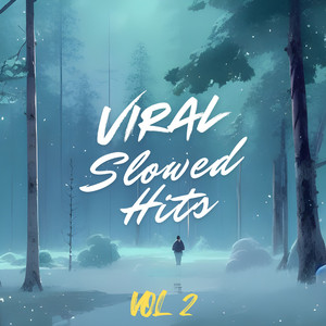 Viral Slowed Hits, Vol 2