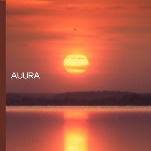 Movement by Auura