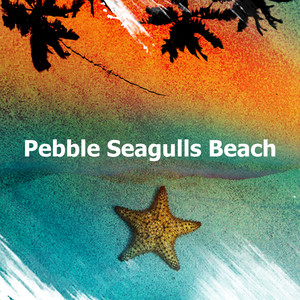 Pebble Seagulls Beach album