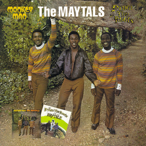 Monkey Man/From The Roots - Album by The Maytals | Spotify