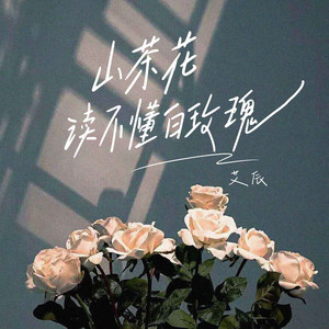 山茶花讀不懂白玫瑰 - 溫柔男聲版 by 艾辰