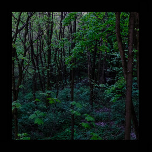 illia oliinyk — Блукання