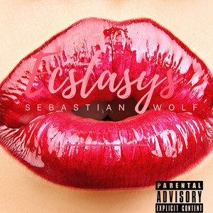 Sebastian Wolf cover