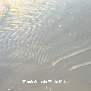 Womb Sounds White Noise