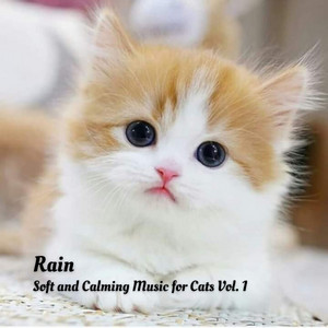 Rain: Soft and Calming Music for Cats Vol. 1 album