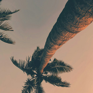 heartbreak in paradise by Lion in Zion