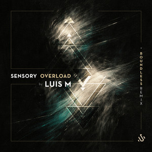 Sensory Overload by Luis M