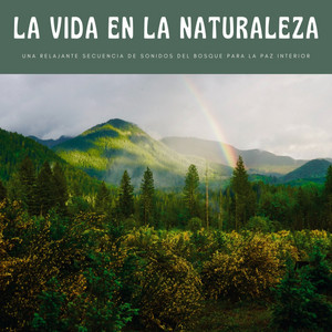 La Vida En La Naturaleza: Una Relajante Secuencia De Sonidos Del Bosque Para La Paz Interior album