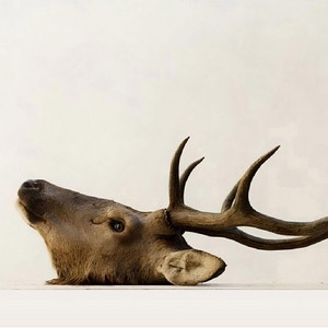 dusklore vault - all your wrong