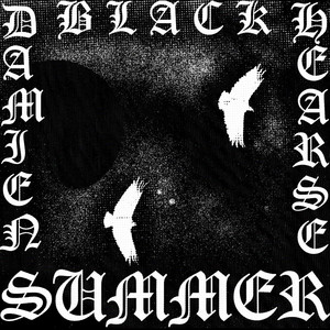 BLACK SUMMER by Damien Hearse