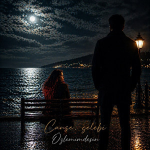 Özlemimdesin by Canse çelebi