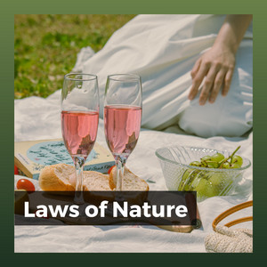 Laws of Nature album