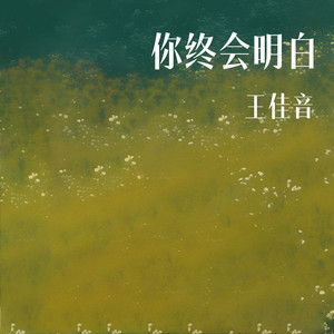 你终会明白 - Dj何友版 by 王佳音