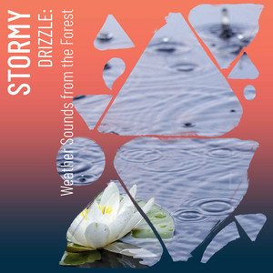 Stormy Drizzle: Weather Sounds from the Forest album