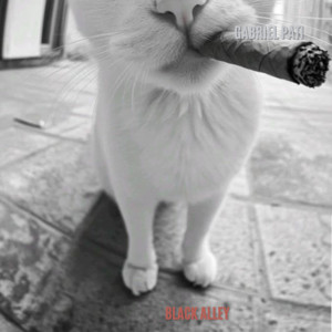 GABRIEL PATI - Black Alley