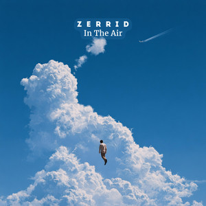 In the Air by ZERRID