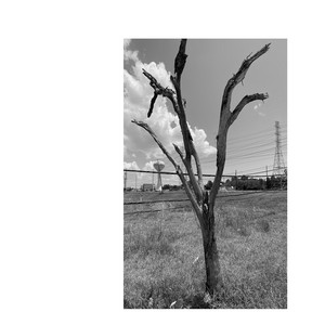 Where Are You by Adam Longlands, A Longlands
