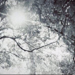 moon river - demo version by Apollo Benjamin