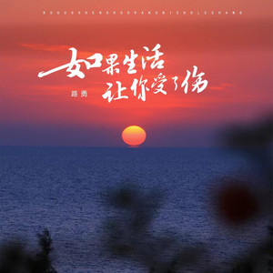 如果生活让你受了伤 - DJ光波版伴奏 by 路勇