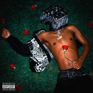 Dead Roses (Intro) by zaya!