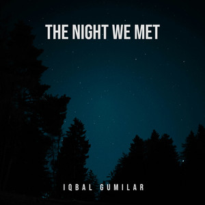 The Night We Met - Acoustic Guitar by Iqbal Gumilar