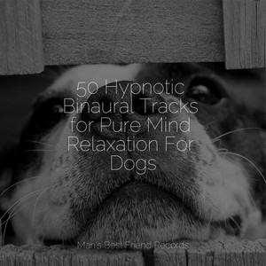50 Hypnotic Binaural Tracks for Pure Mind Relaxation For Dogs album