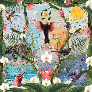 Los Mirlos, 311 & El Dusty - Amber