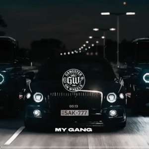 My Gang by Hazel Sterling