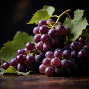 Naptry - Painting the sky