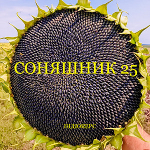 індюкерс — Соняшник 25