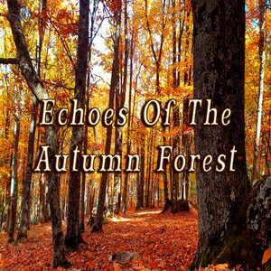 Healing Nature & Meditation - Autumn Ambience - Detailed Sounds of Rustling Leaves Falling and Wind Blowing Through the Forest Trees