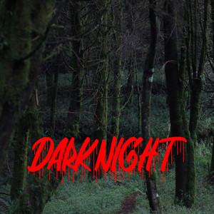 Dark Night by Nury Nawang