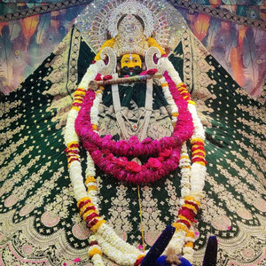 AJAY - Shyam Sunder Radhe 2