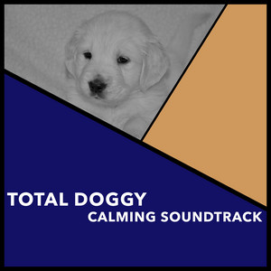 Calm Connection by Calming Dog Chillout
