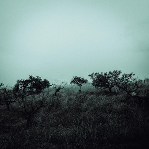 CASTLE HILL by FONTANA