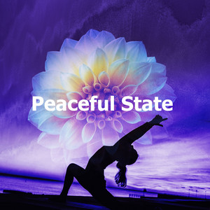 Blank Effect by LOKOS TV Now Meditation Music