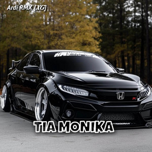 Ardi RMX - Tia Monika (Remix)