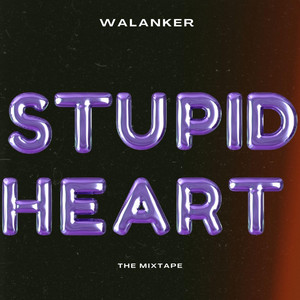 Stupid Heart