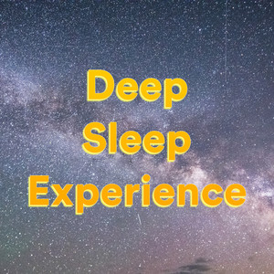 Deep Sleep Experience album