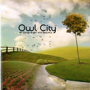Bright All 洋楽 and Beautiful Owl Things City