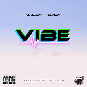 VIBE by Maley Tomzy