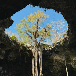 Wayward — Eyes Turn Blue (2026)